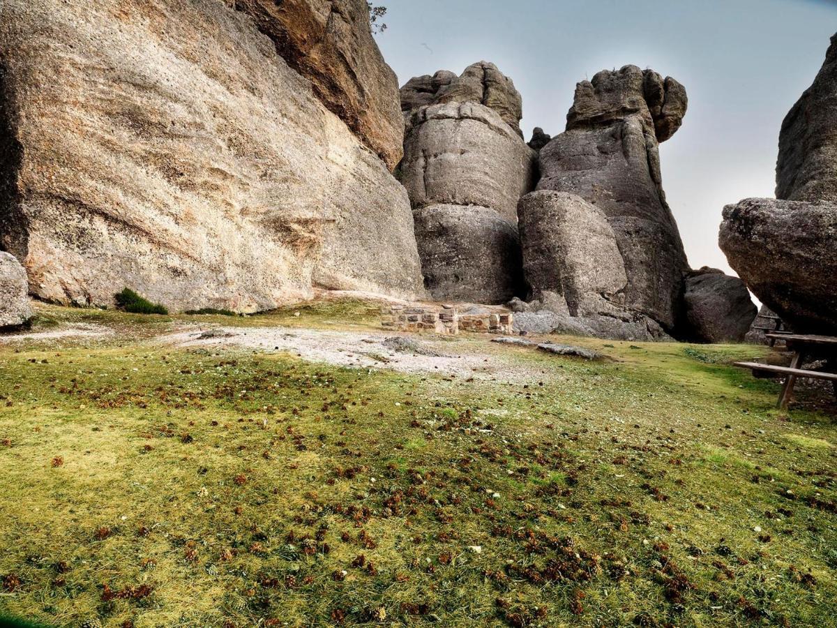 Вилла Casa Urbion-Pinares De Soria Коваледа Экстерьер фото